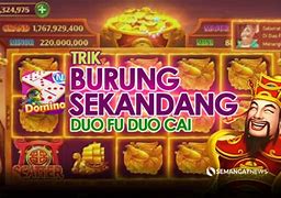 Jp Slot Domino Baru Indonesia Hari Ini Higgs Domino